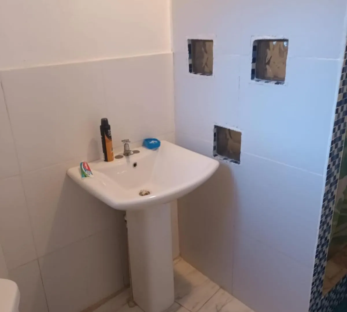 Rosehill View Garden Apartment Port Antonio