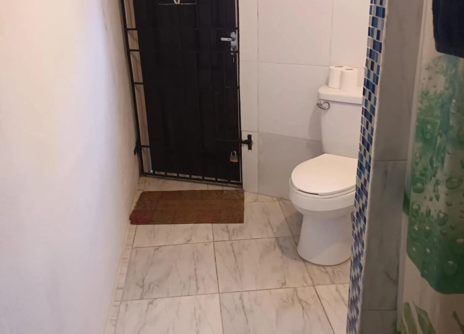 Rosehill View Garden Apartment Port Antonio